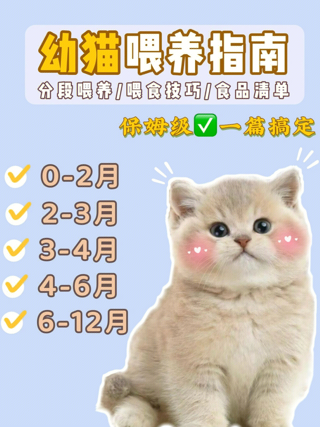 猫咪下载教程_猫咪赚钱app下载_猫咪app下载
