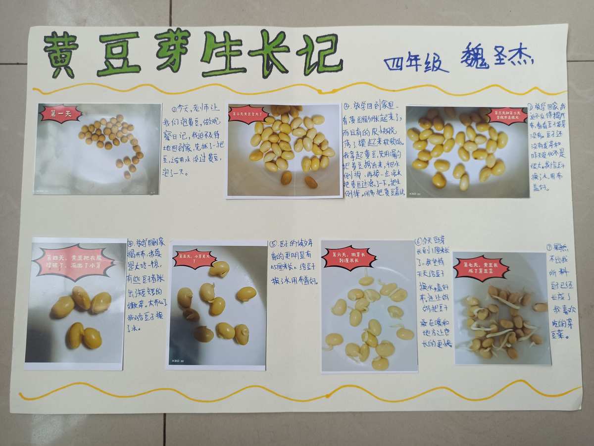 嫩芽研究所隐藏入口在哪_嫩芽研究生_嫩芽研究所