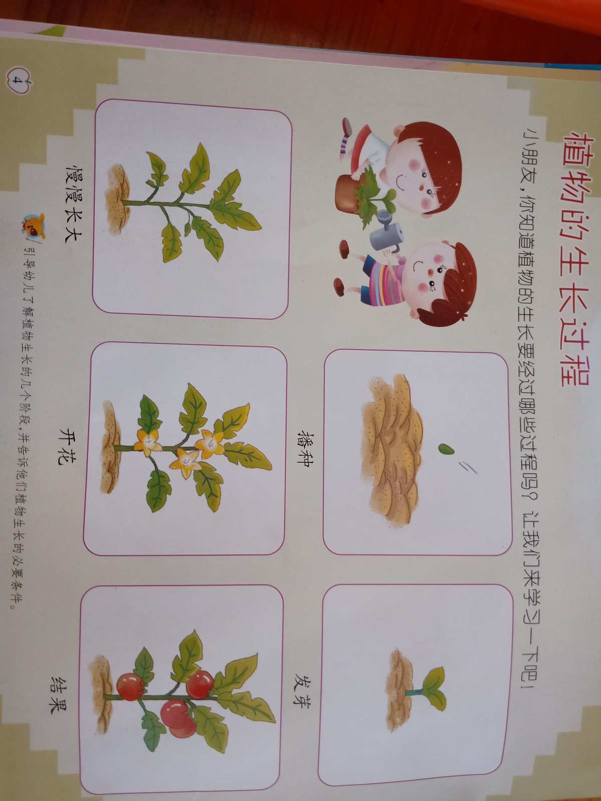 嫩芽研究所隐藏入口在哪_嫩芽研究生_嫩芽研究所
