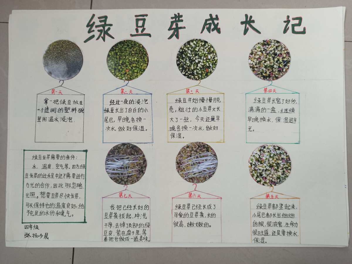 嫩芽研究所_嫩芽研究所隐藏入口在哪_嫩芽研究生