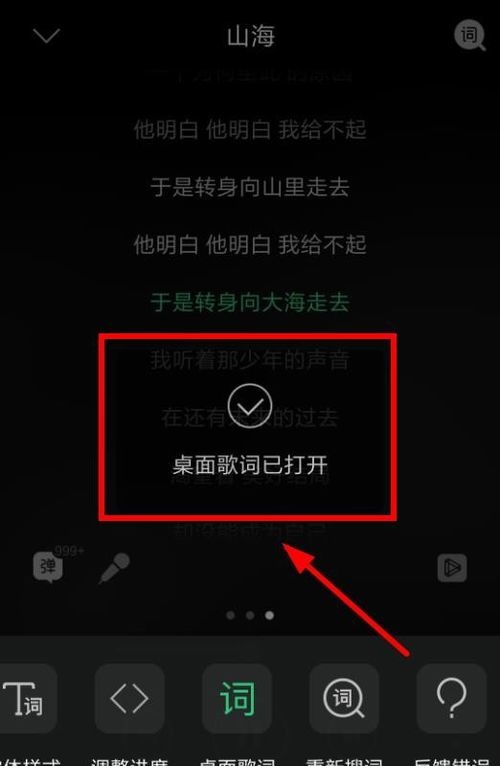 桌面歌词怎么调颜色_汽水音乐怎么设置桌面歌词_桌面歌词怎么调透明度