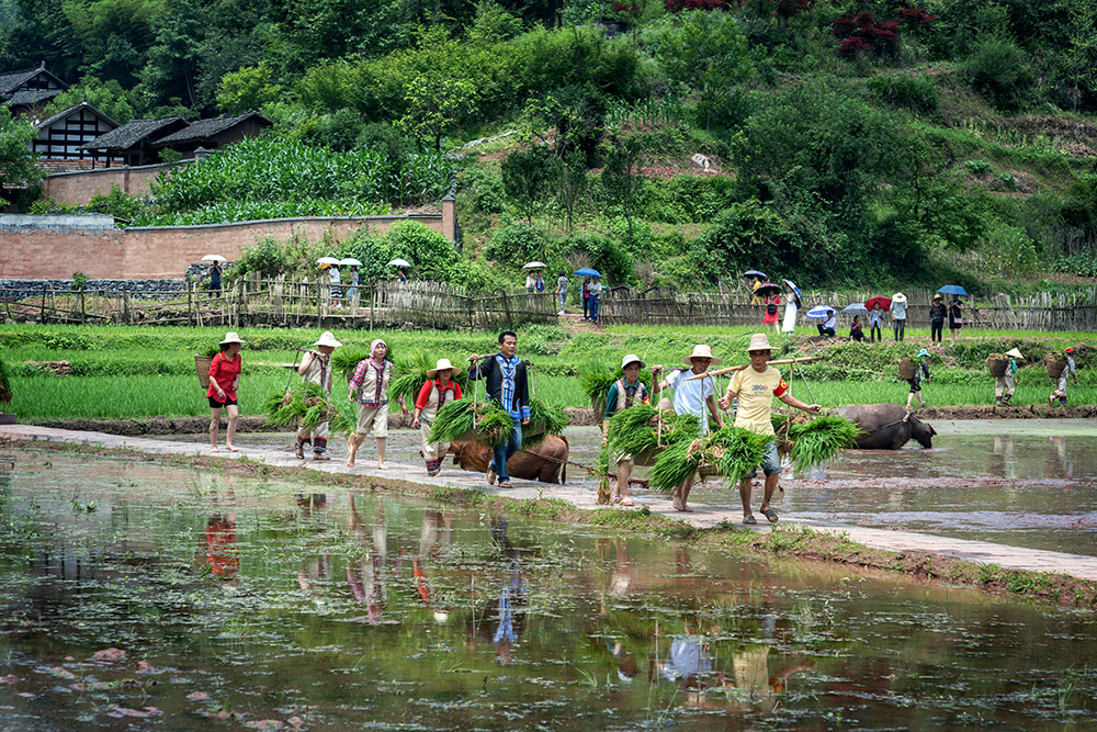 记忆·长兴村：耕耘的岁月，乡土风情