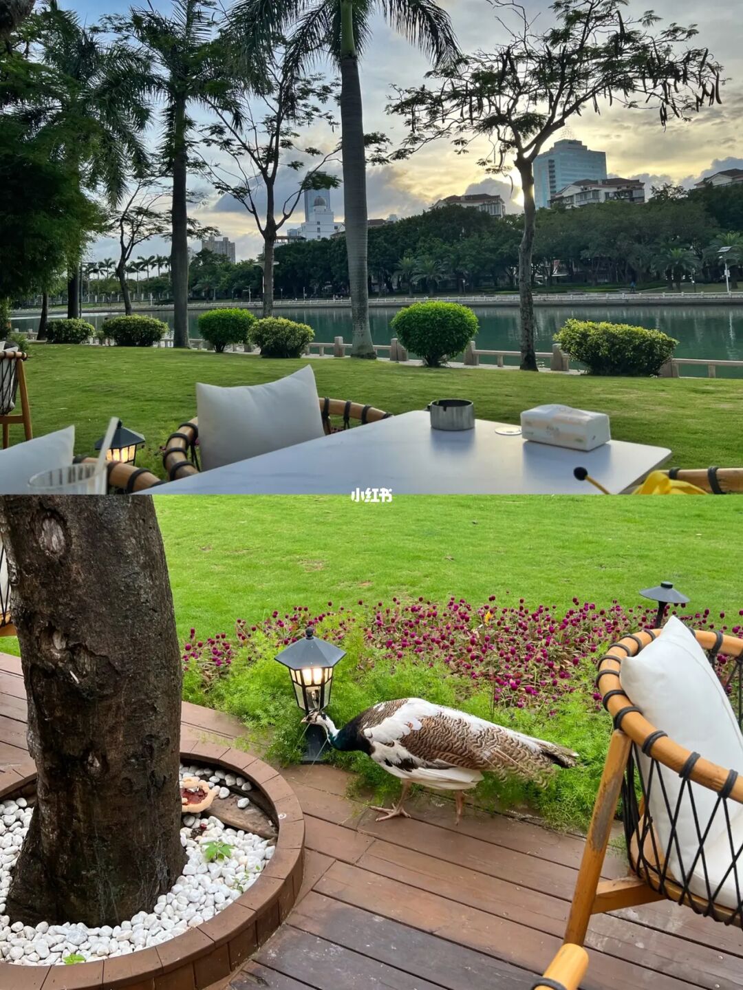 约会附近人的软件_约会附近单身_附近约会吧