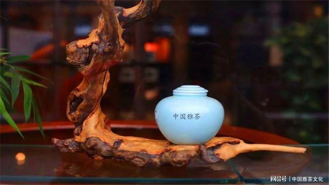 茶豚中将_茶豚能力果实是啥_茶豚