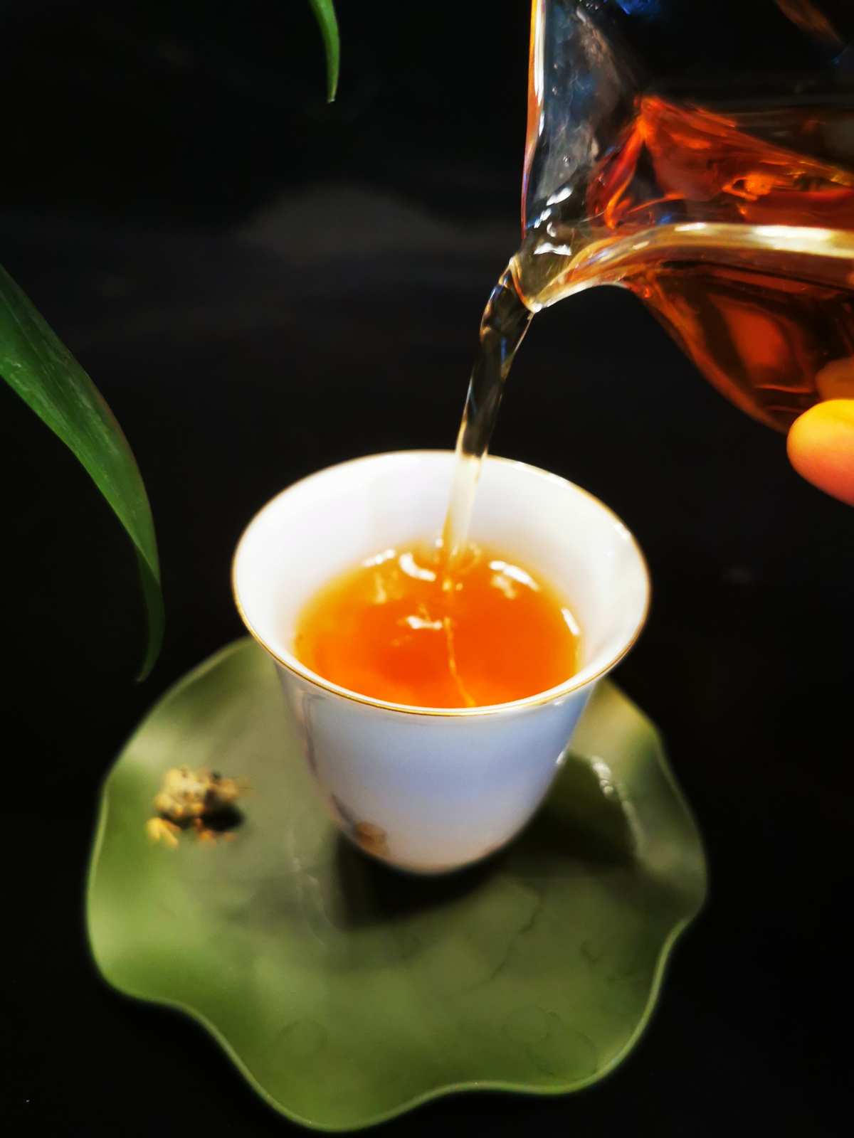 茶豚能力果实是啥_茶豚_茶豚中将