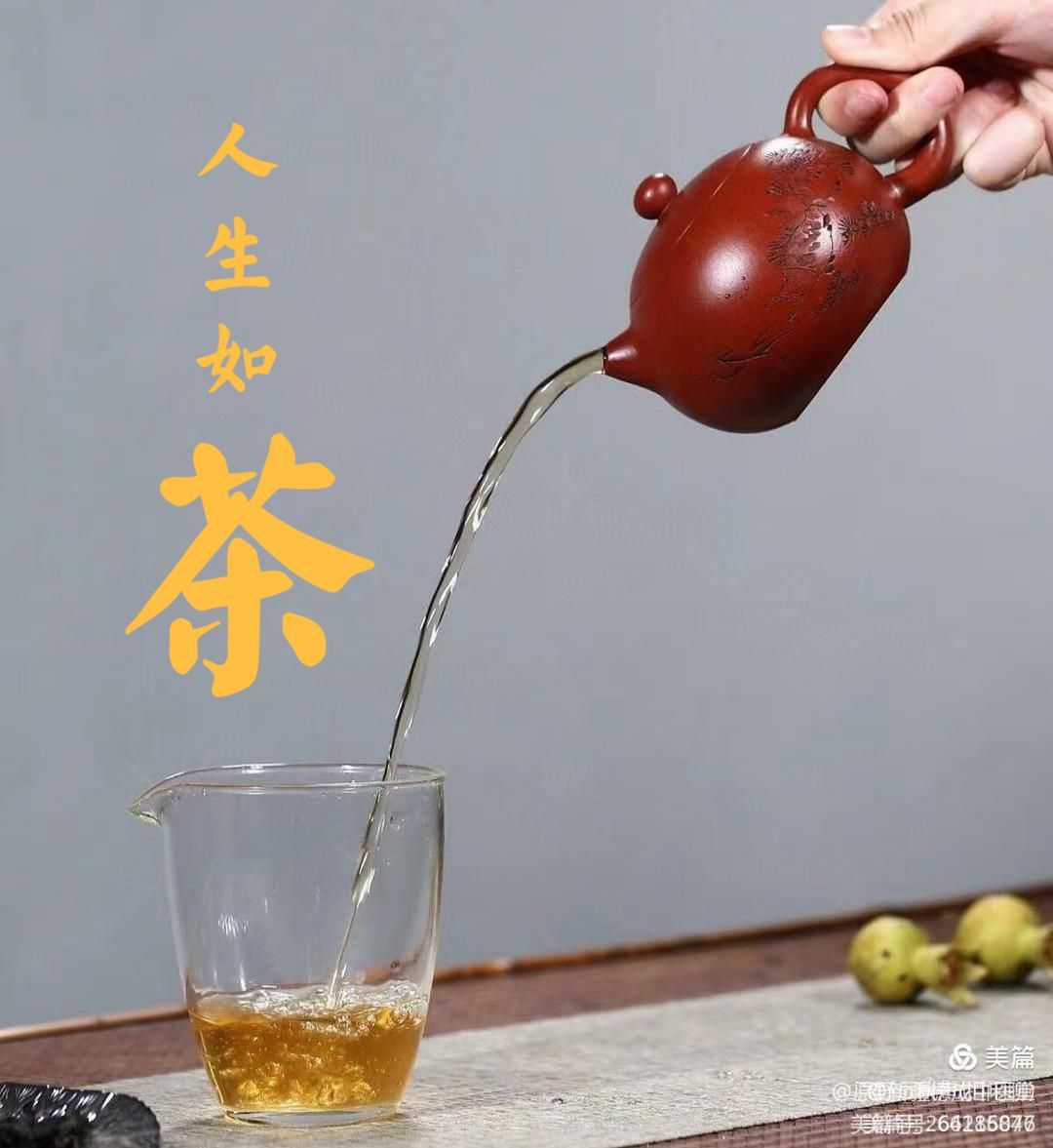 茶豚中将_茶豚_茶豚能力果实是啥