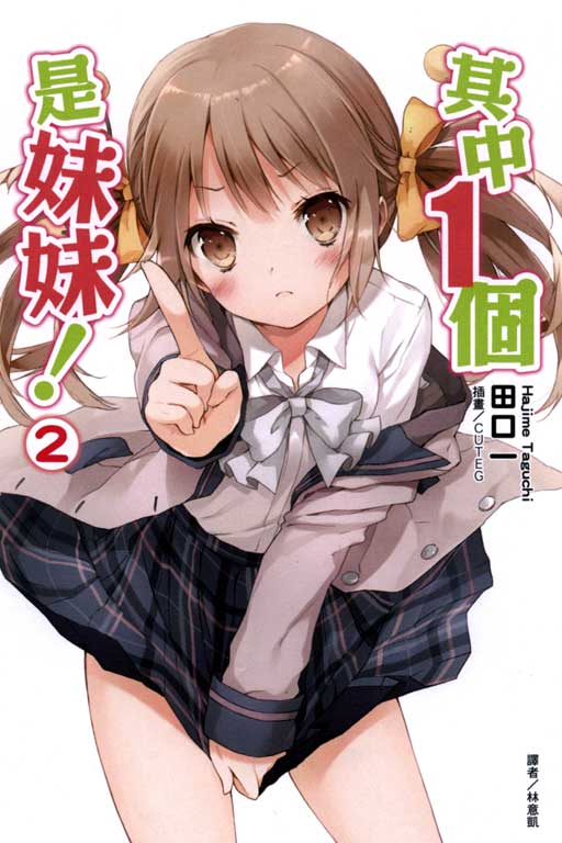 我是一位资深作家，以小说创作为主要职业