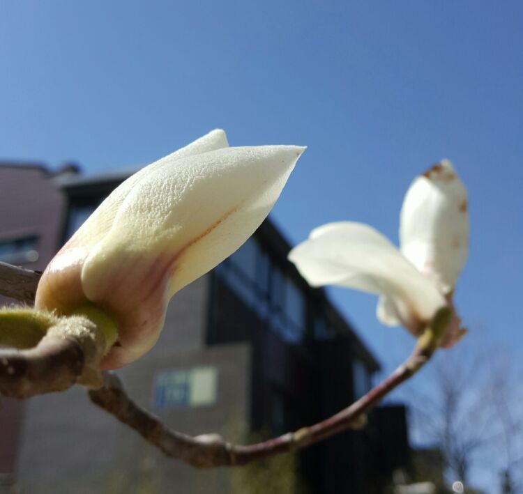 龚玥菲裸乳写真_龚玥菲裸乳写真_龚玥菲裸乳写真