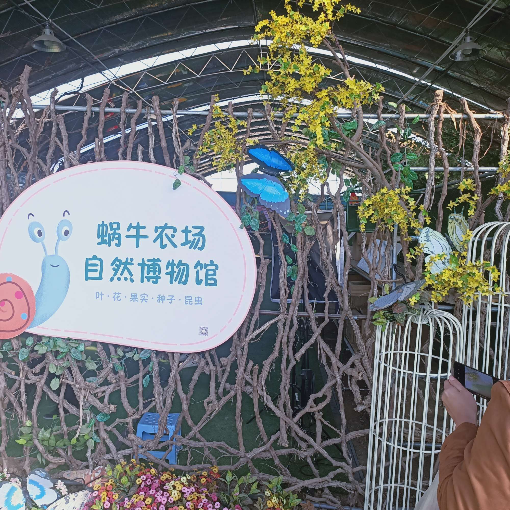 魔法蜗牛集市，奇幻魅力无限