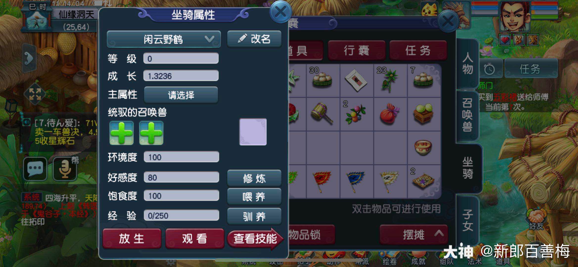 梦幻西游：坐骑成长秘密揭晓