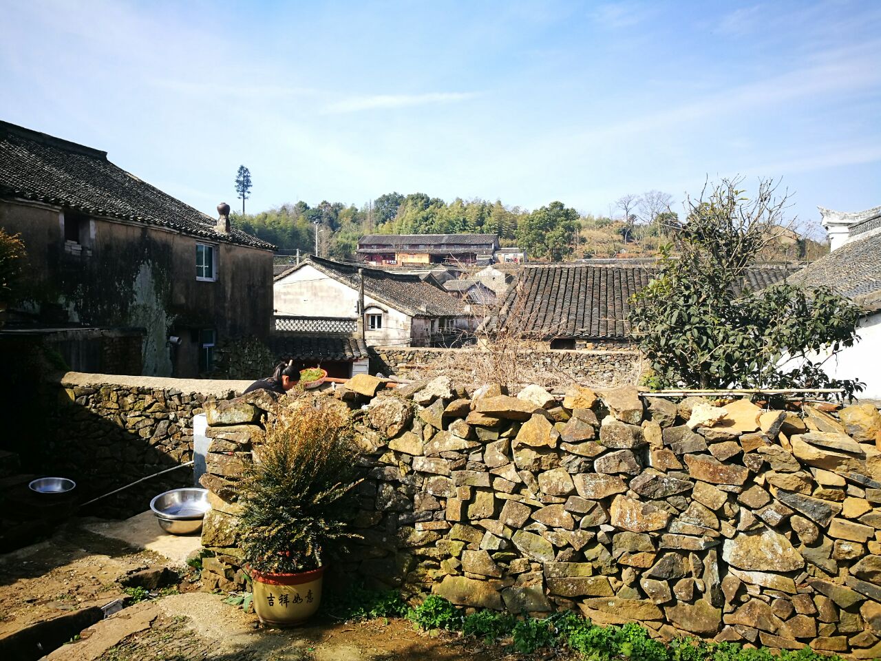 石村号电影_石村号_石村号寂静岭浣熊市