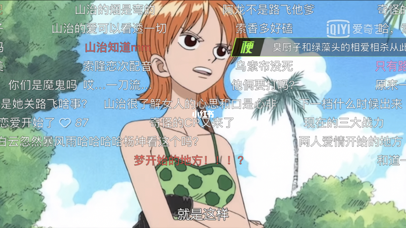 海贼王娜美同人游戏_同人海贼娜美王游戏推荐_海贼王游戏娜美加点