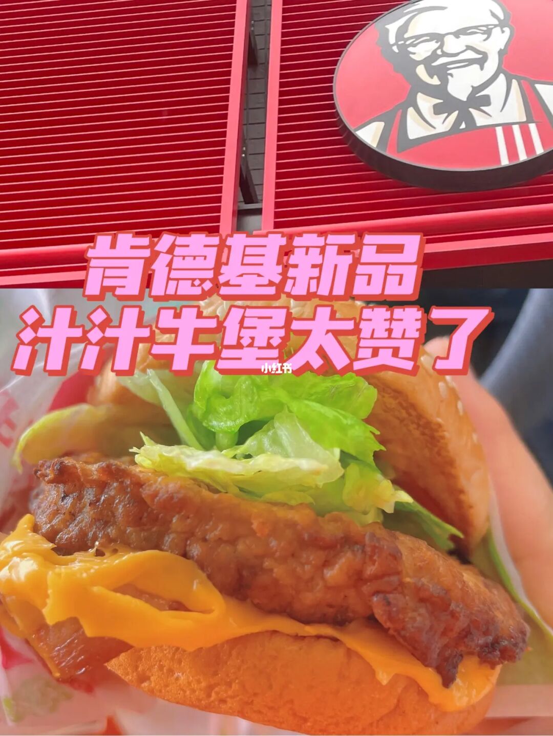 肯牛_肯特瑞小金库网银平台_肯特国际学校