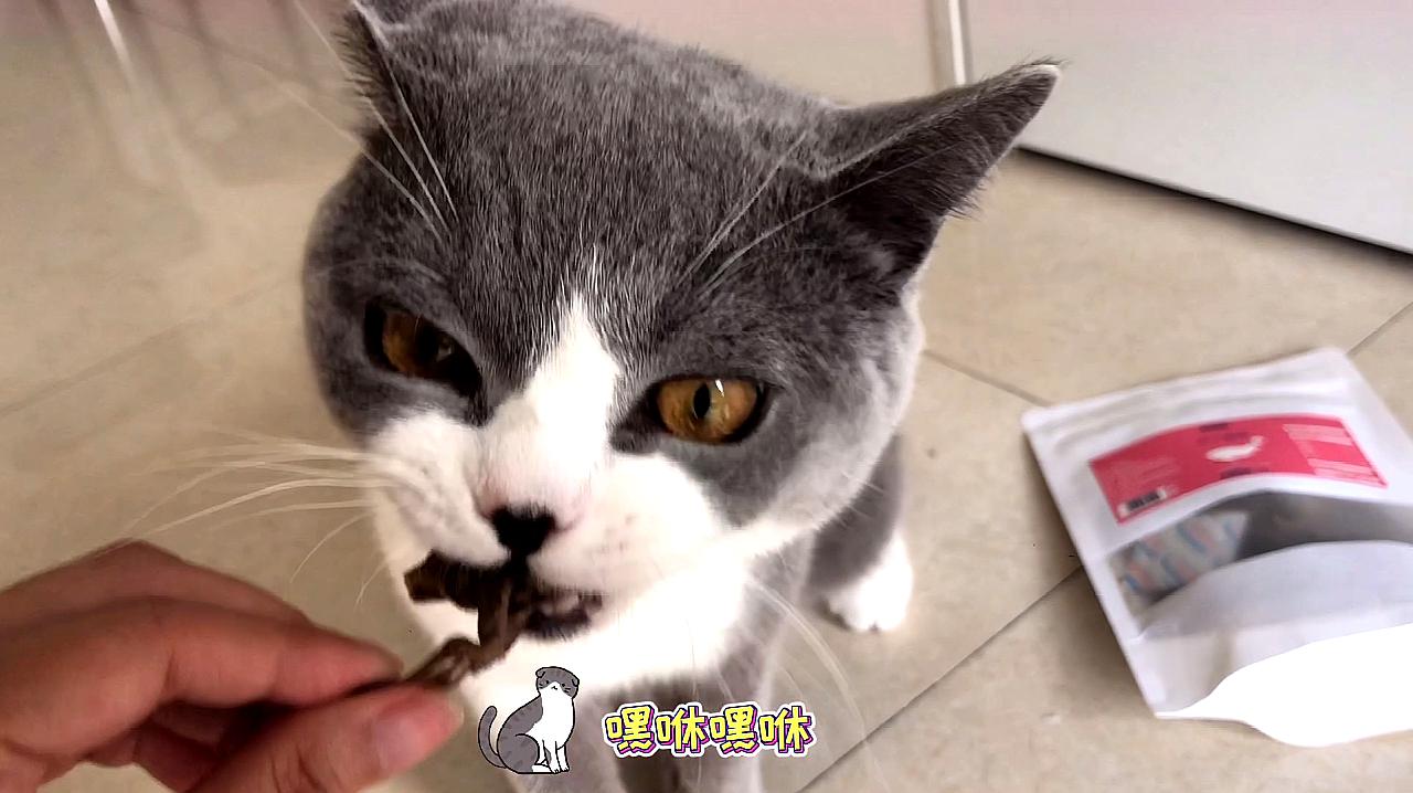 兼职猫app下载_下载快猫短视频app_短视频社交app