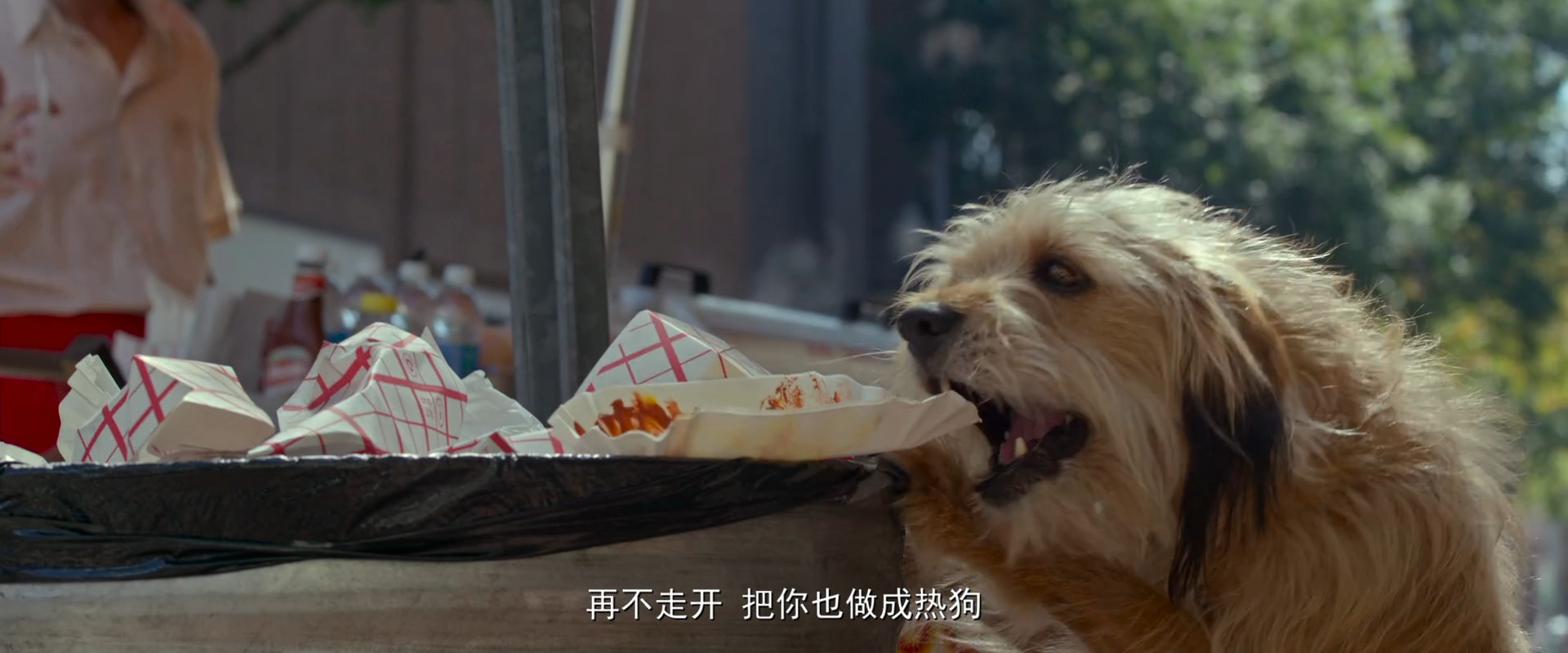 磁力狗官网搜索引擎_最好搜索引擎磁力狗_引擎磁力链