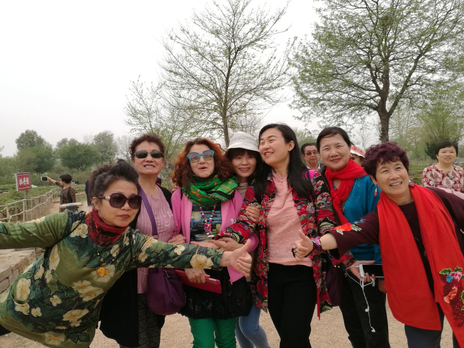 给老人玩的手机游戏_老年人玩手机游戏_老人玩手机游戏的危害