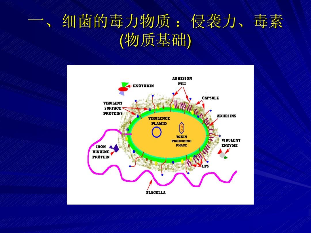 生物武器-现代科技下的恐怖武器