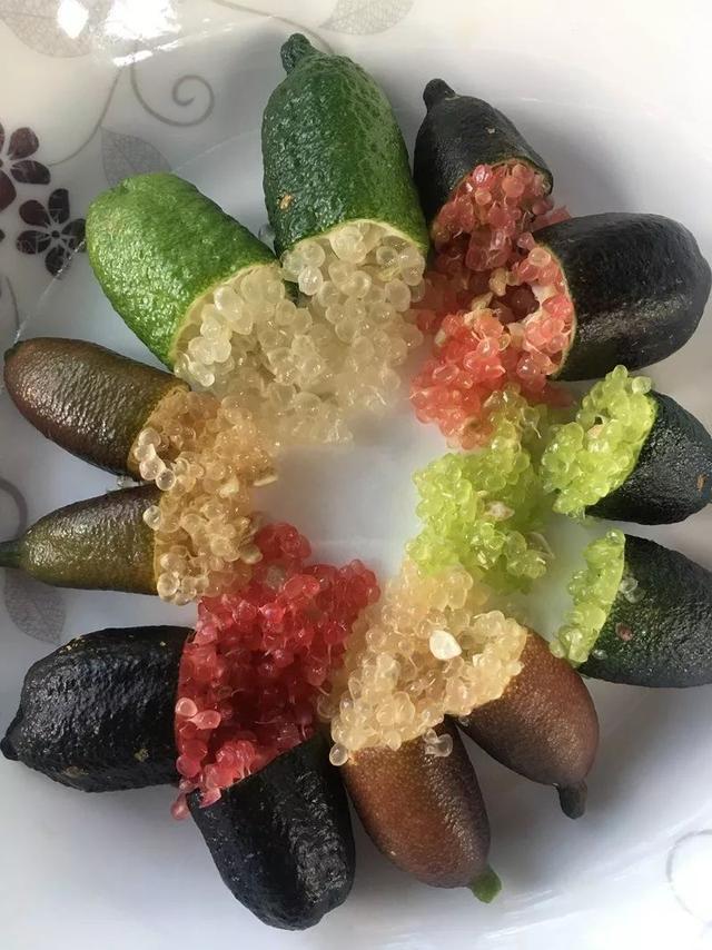 颠茄片_颠茄_颠茄合剂
