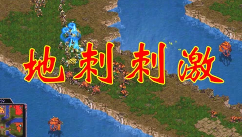地刺是什么植物_地刺_地刺王