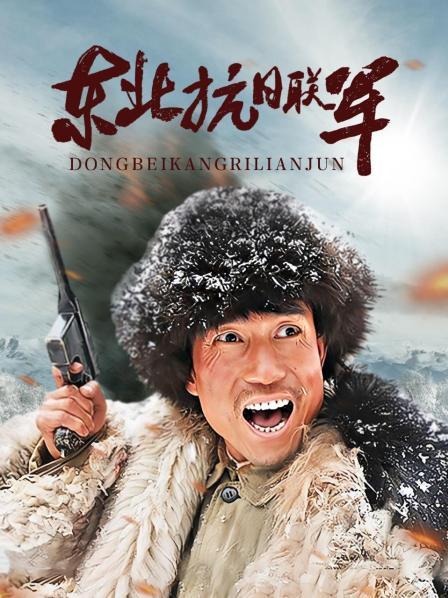 东北电视剧大全集_电视连续剧东北_立功东北旧事电视剧免费播放