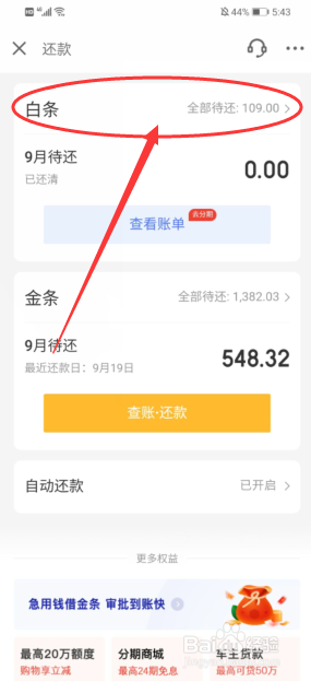 京东白条全部提前还款_还款京东白条提前全部还完_还款京东白条提前全部还款