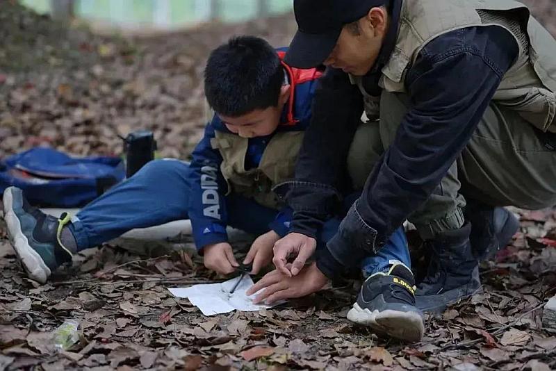 【生死搏斗，残酷世界】挑战极限的单机生存游戏手机版