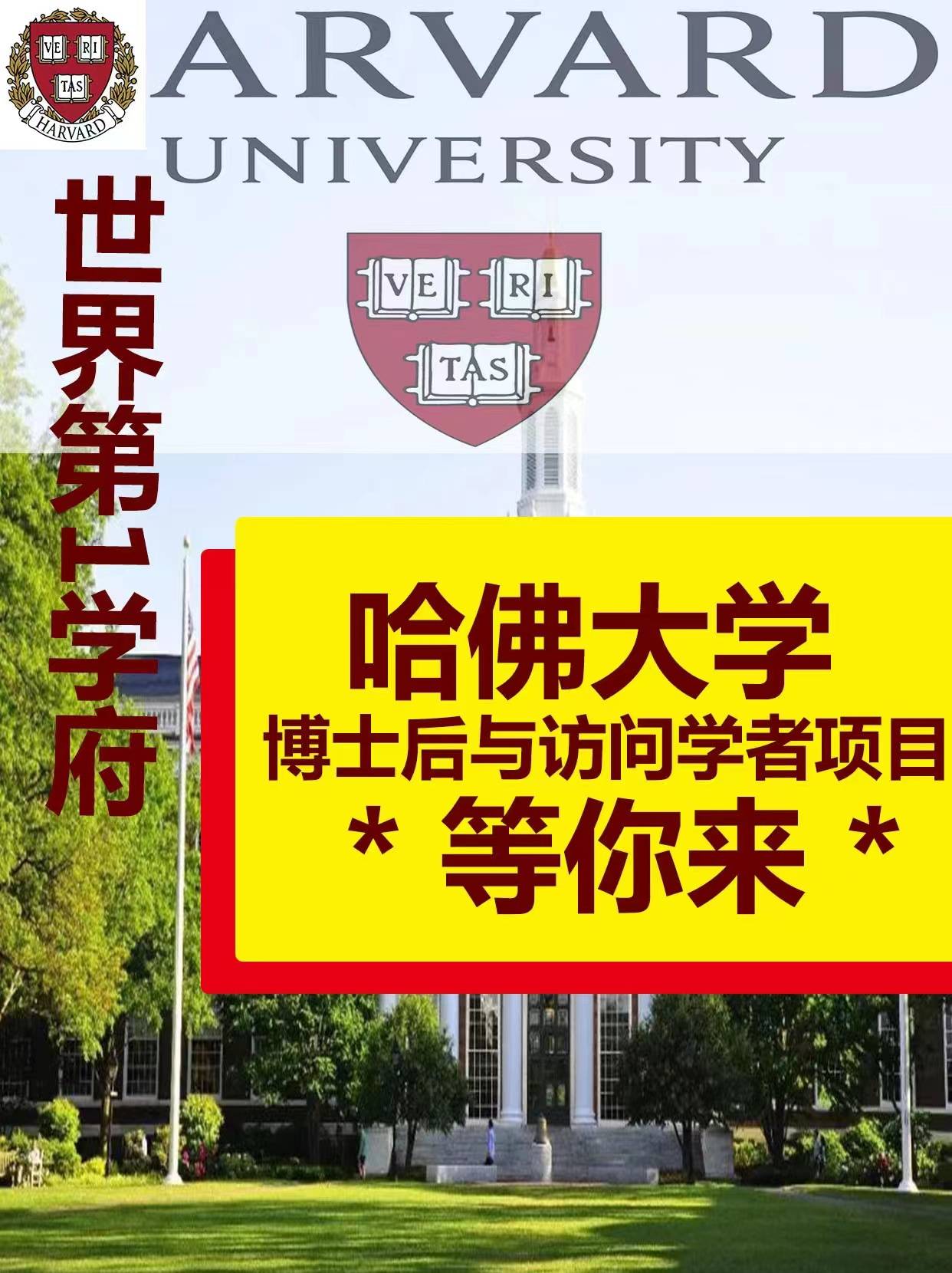 哈佛大狗2022_哈佛大狗2023_2020年哈佛大狗