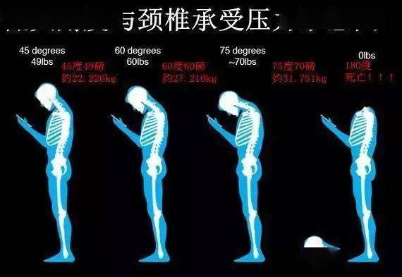 初二学生玩手机上瘾怎么办啊_初二玩手机游戏的危害视频_初二玩手机的危害检讨