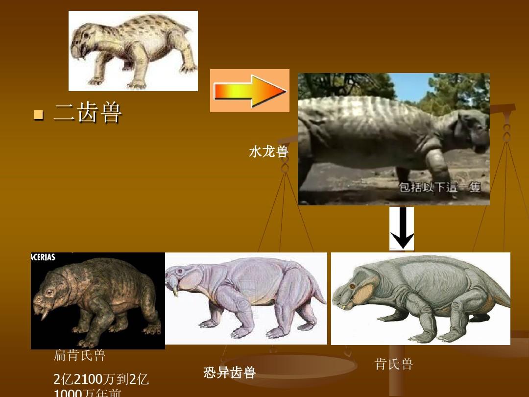 十二兽：神秘起源、异能形态，为何成为热门话题？