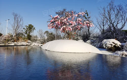 东方夜神雪：外形典雅，性能强劲，给你不一样的手机体验