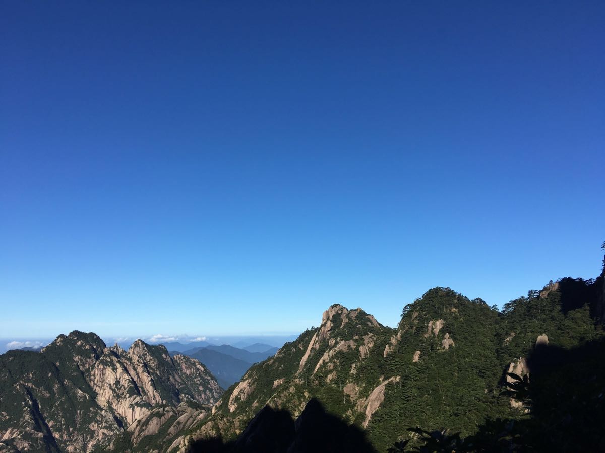 放下你手机游戏_安装游戏手机_香蕉放可以放在太阳下催熟吗