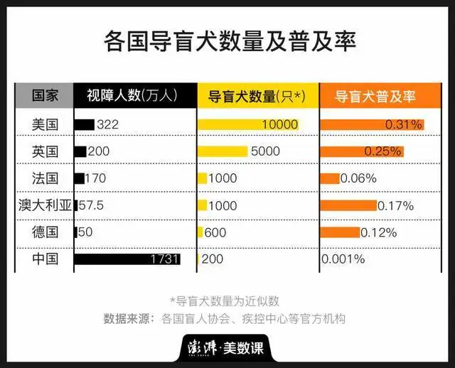 校园文化界的弹链大比拼：活力澎湃VS稳重可靠，哪款更适合你？
