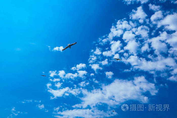 牌空战七苏37_电影皇牌空战_皇牌空战0