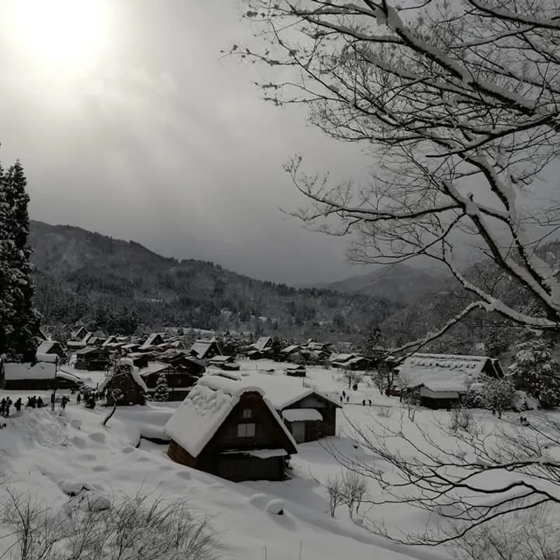 拯救家园是什么意思_拯救家园游戏_雪孩子之拯救家园