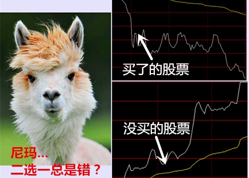 斩杀皇后_斩击剑神_斩击皇帝