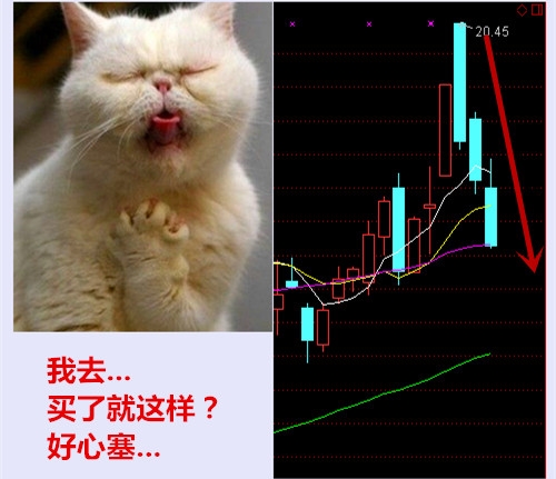 斩击剑神_斩杀皇后_斩击皇帝