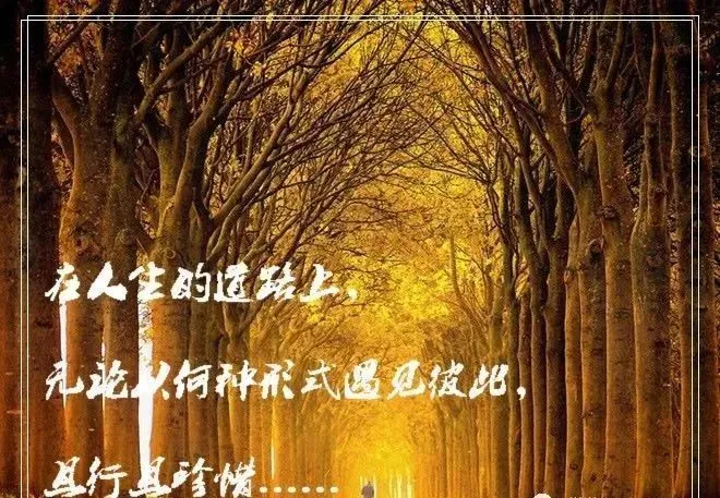 样歌词_样组词_俺也一样