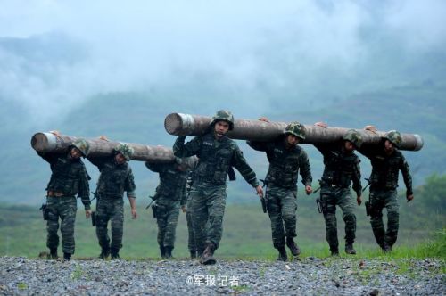 大型狙击游戏 手机-手游狙击高手：精准瞄准与灵活战术的绝妙结