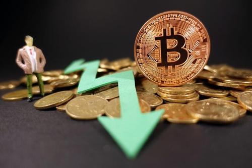 霍比特交易平台app下载_霍比特交易所_比特交易