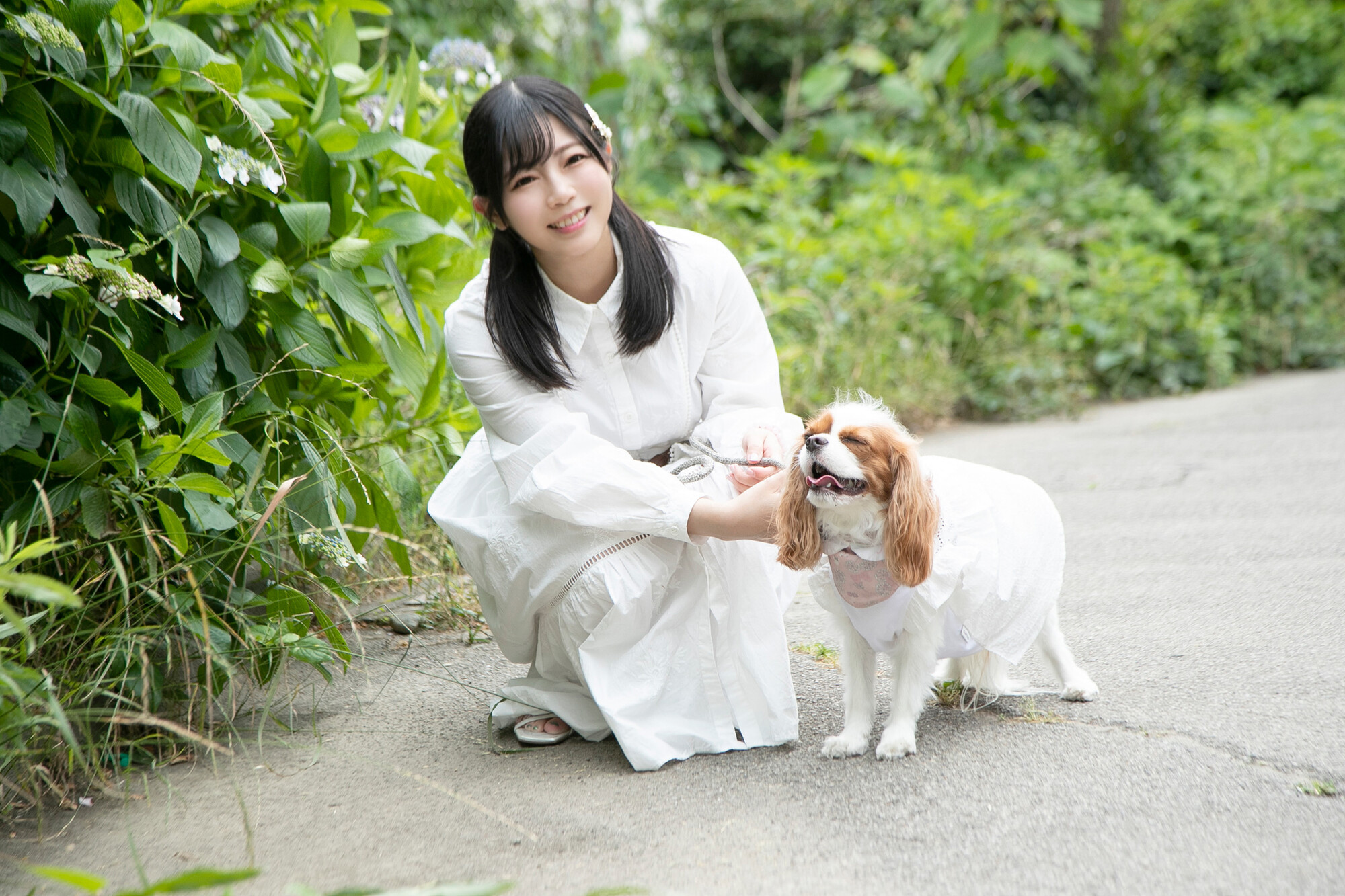 月野茶羽中多少钱一套_月野美羽_月野茶羽中多少钱