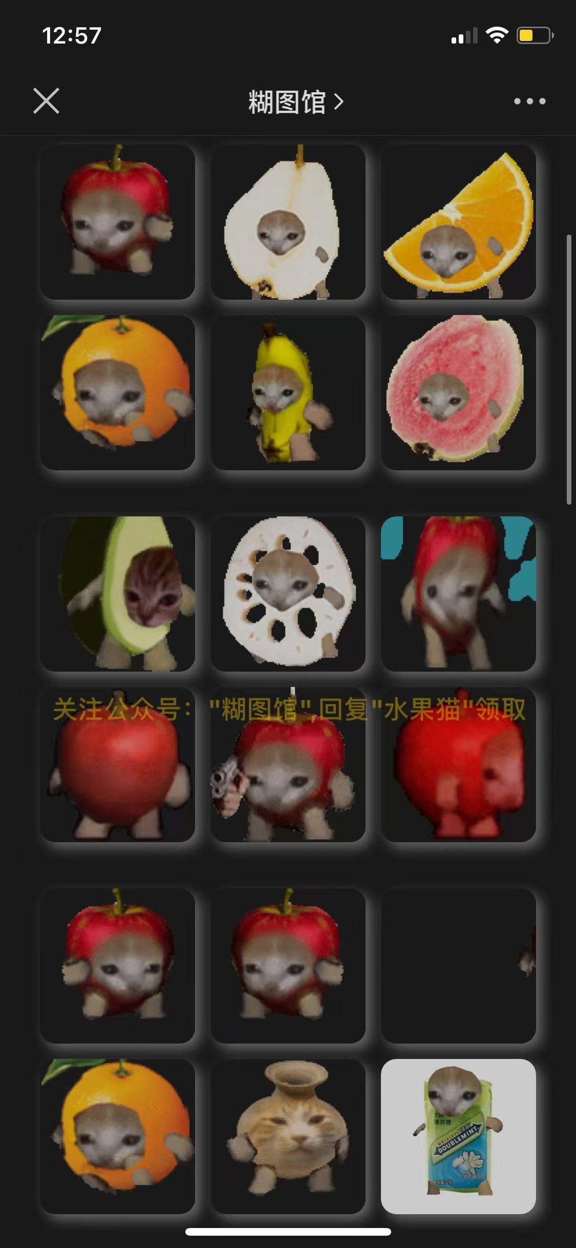 iphone手机游戏_到游戏大厅苹果手机游戏_apple手机游戏