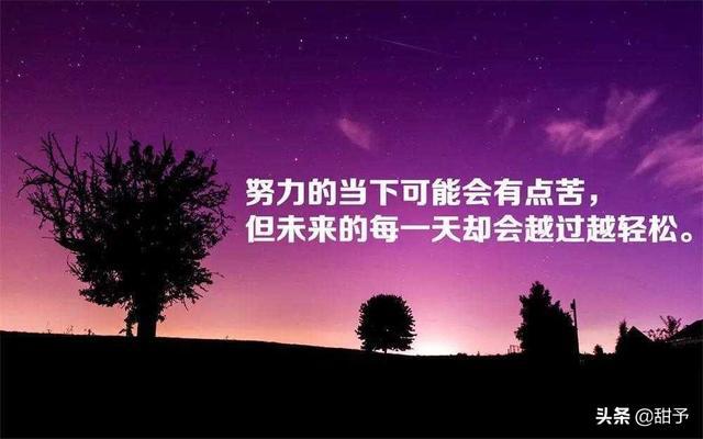 天才的命运承受不起_天才不能承受之重预告_不能承受的天才之重在线