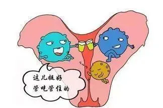 堆积木游戏手机_堆积木游戏规则_堆积木手机游戏大全