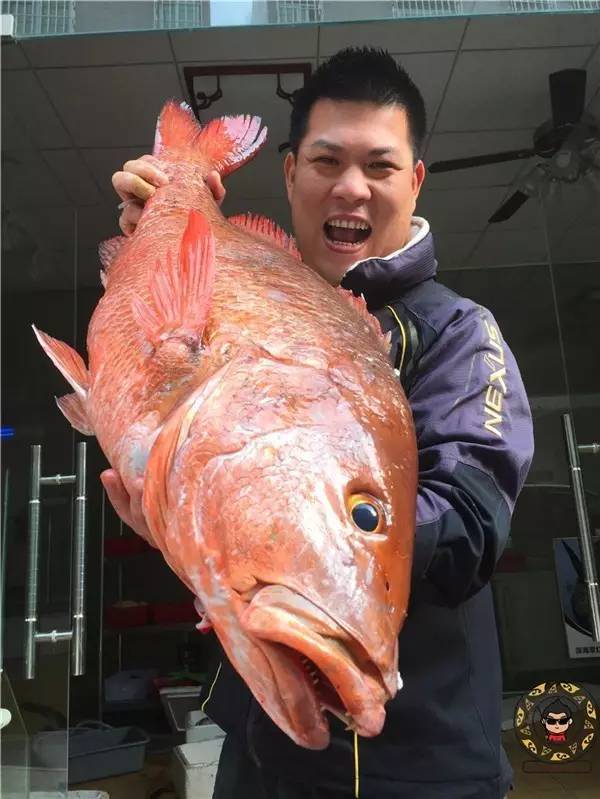 深海迷航利维坦在多深的海里_深海迷航利维坦_深海迷航利维坦会复活吗