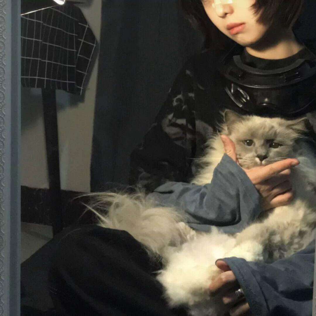 女生游戏手机版_手机女生玩的游戏_打女生手机游戏下载