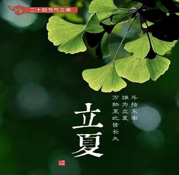 小满之后的下一个节气-小满之后，立夏与芒种：阳光明媚与麦熟稻