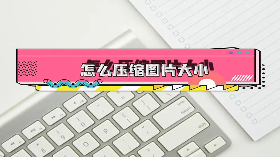 完税证明文书式和表格式区别_raw格式和jpg格式区别_jgp和jpg格式区别