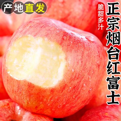 黑青郎君_青黑朗君_黑色青郎君