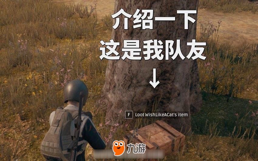 鸡叫下载_吃鸡游戏的手机叫什么来着_鸡叫的手机铃声