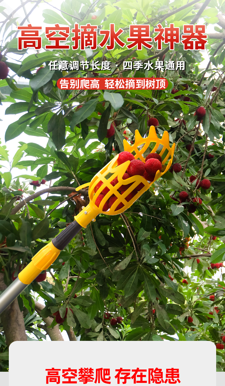 荔枝木头_上木荔枝系列_荔枝木又叫什么木